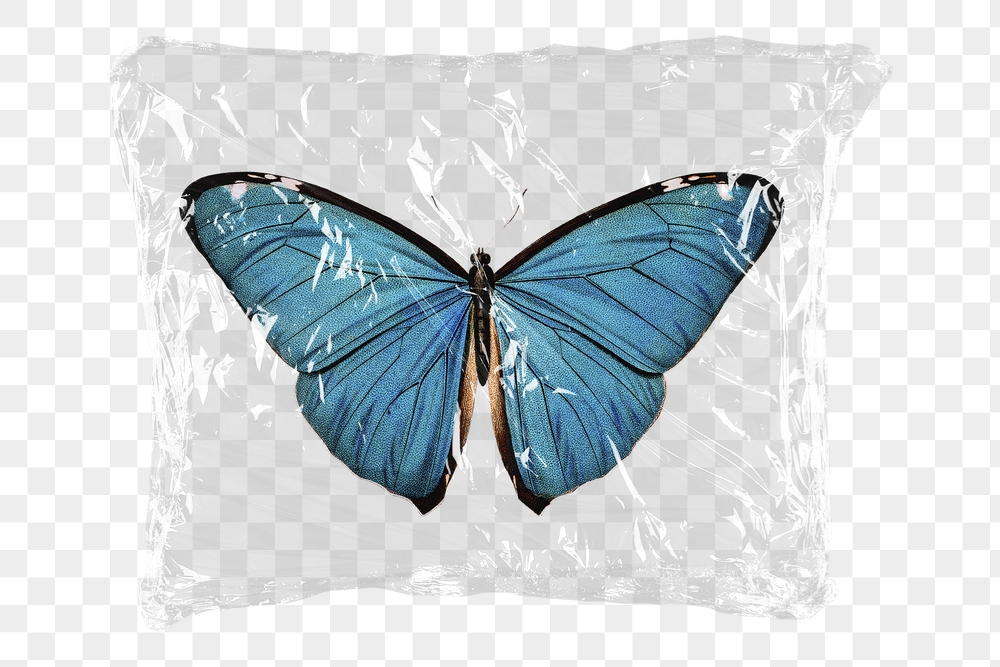 Blue butterfly png plastic packaging | Free PNG - rawpixel