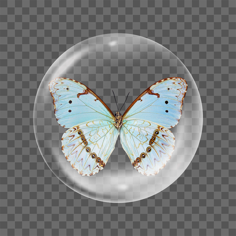 Blue butterfly png sticker, bubble | Free PNG - rawpixel
