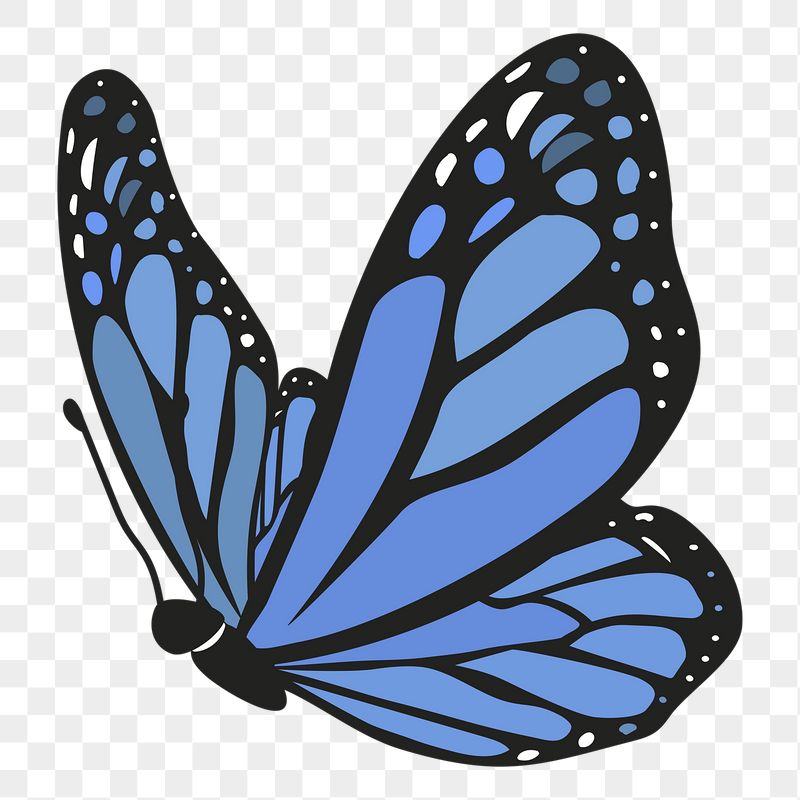 Blue butterfly png sticker, cute | Free PNG Illustration - rawpixel