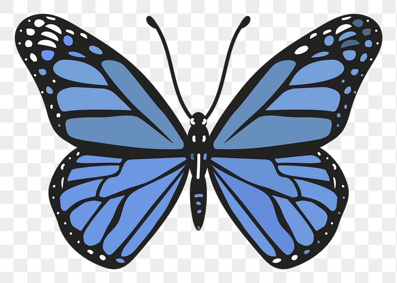 Blue butterfly png sticker, cute | Free PNG Illustration - rawpixel