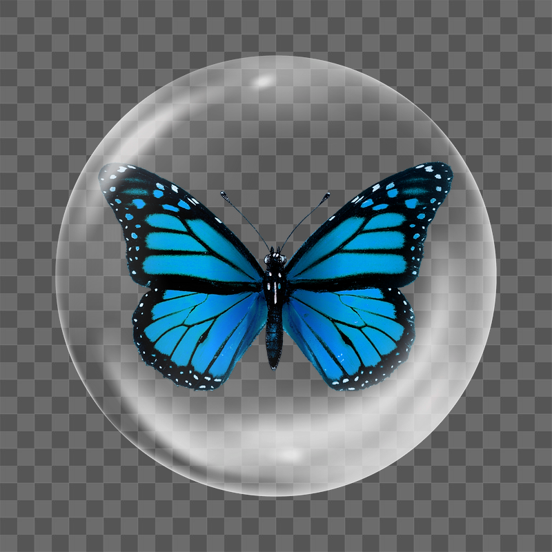 Blue butterfly png sticker,  | Free PNG - rawpixel