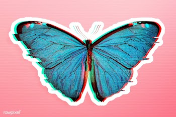 Blue butterfly with glitch effect sticker with white border overlay | Free  illustration - 2359216