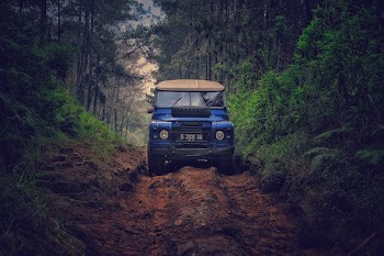 Blue Car on Dirt Road Between Green Leaf Trees