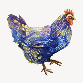 Blue chicken clipart, animal illustration | Free Vector - rawpixel