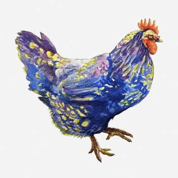 Blue chicken clipart illustration. Free | Free Photo - rawpixel
