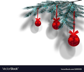 Blue christmas tree branches on an isolated white vector image