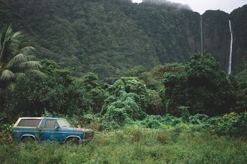 blue classic car near trees and water fall during daytime