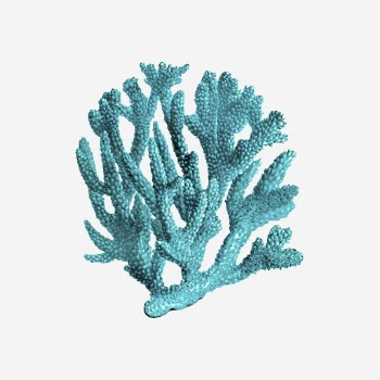 Blue coral clipart, sea life | Free Photo - rawpixel