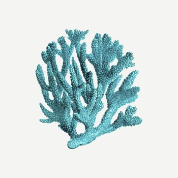 Blue coral clipart, sea life | Free PSD - rawpixel