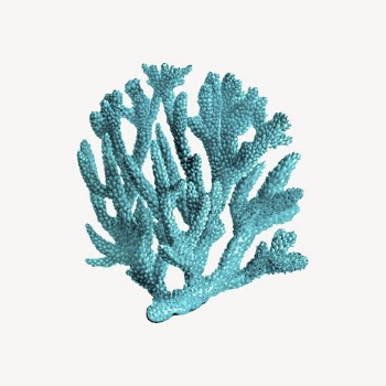 Blue coral clipart, sea life | Free Vector - rawpixel