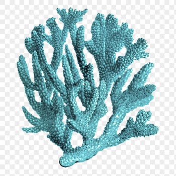 Blue coral png clipart, sea | Free PNG - rawpixel