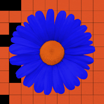 Blue daisy flower, abstract botanical | Free Photo - rawpixel