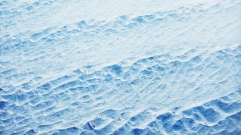 Blue desert