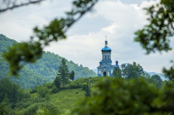 Blue Dome Building Surrounded by Tall Trees Taken Under White Clouds
