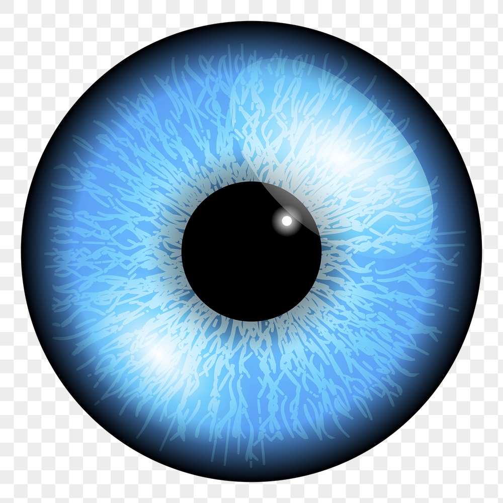 Blue eye png sticker biometric | Free PNG - rawpixel