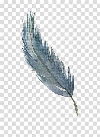 Blue feather transparent background PNG clipart