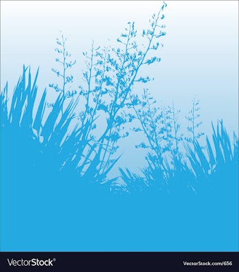 Blue flax vector image