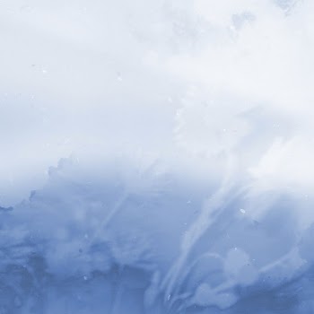 Blue flower background, gradient nature | Free Photo - rawpixel