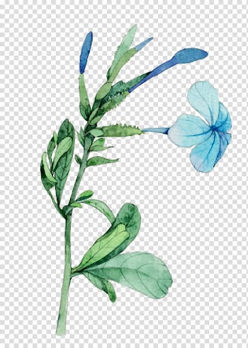 Blue flower illustration, Watercolor: Flowers Watercolour Flowers Watercolor painting Illustration, A plant transparent background PNG clipart
