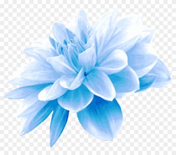 Blue Flower Picture Savingourboys - Single Blue Flower