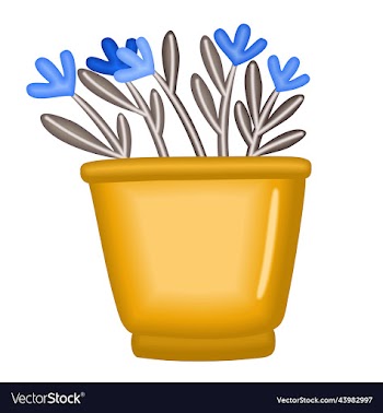 blue flowers in a pot isolated