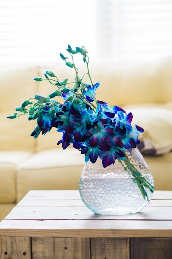 Blue Flowers In A Vase
