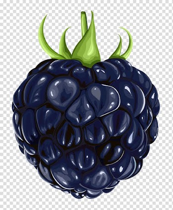 Blue fruit illustration, Blackberry Fruit , Blackberry Fruit transparent background PNG clipart