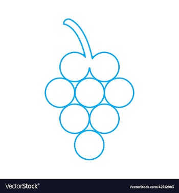 blue grapes line art icon