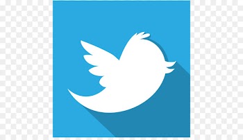 blue graphic design water bird text fish - Twitter 