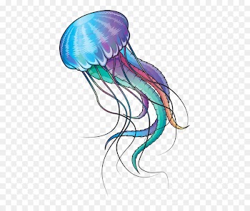 Blue jellyfish Marine invertebrates Ocean - jelly 