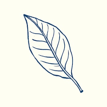 Blue leaf tattoo art, vintage | Free PSD Illustration - rawpixel