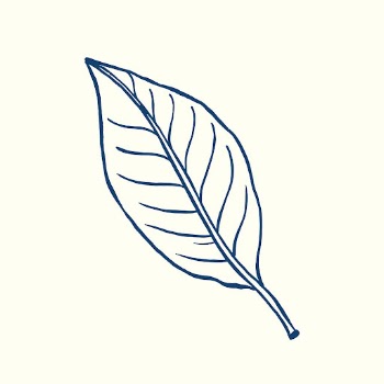Blue leaf tattoo art, vintage | Free Vector Illustration - rawpixel