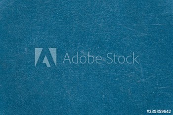 Blue leather folder