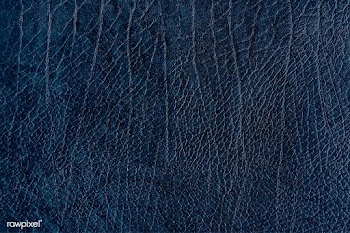 Blue leather grain texture | Free stock vector - 896832