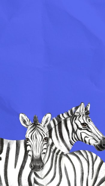 Blue mobile wallpaper, zebras animal | Free Photo Illustration - rawpixel