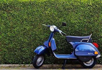 Blue Moped by Green Bush at Roadside