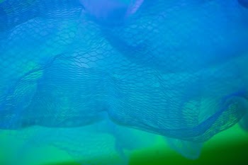 blue net