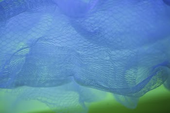 Blue net. Original public domain | Free Photo - rawpixel