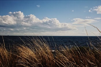 Blue Ocean Photograph