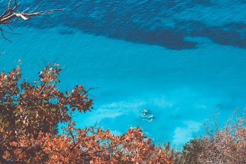 Blue Ocean Under Sunny Sky