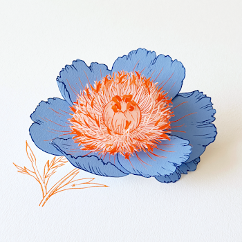 Blue Peony Flower Top-Down View