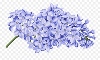 Blue Petal Portable Network Graphics Image Flower - blue sympathy flowers 