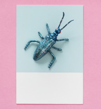 Blue Plastic Beetle in Close-up Photography