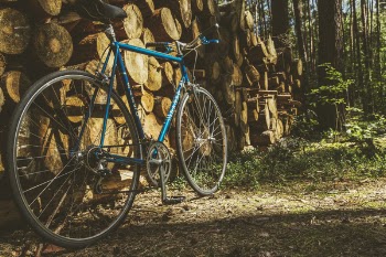 Blue Road Bike Leaning on Pile of Tree Trunks