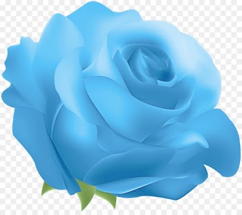 Blue rose
