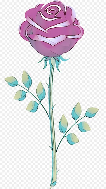 Blue rose