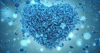 Blue Rose Background | Picserio - Picserio.com