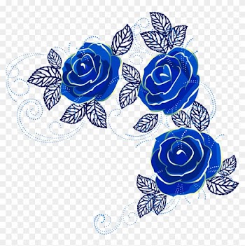 Blue Rose Beach Rose - Blue Rose