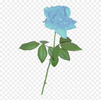 Blue Rose Clipart Stem - Blue Rose Small Png
