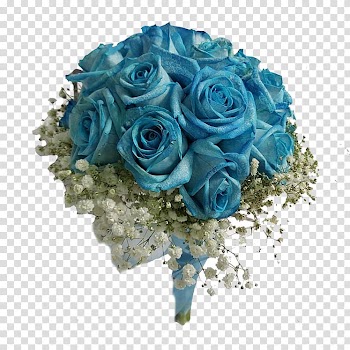 Blue rose Garden roses Floral design Cut flowers, rose transparent background PNG clipart